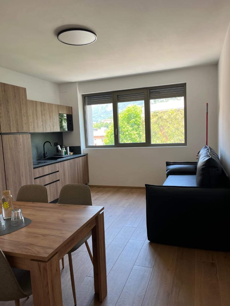 Kitchen or kitchenette, Living room, Dining area, pet friendly
