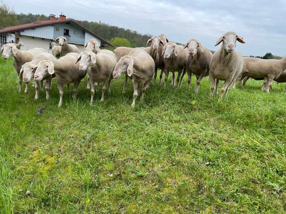 Property building, View (from property/room)