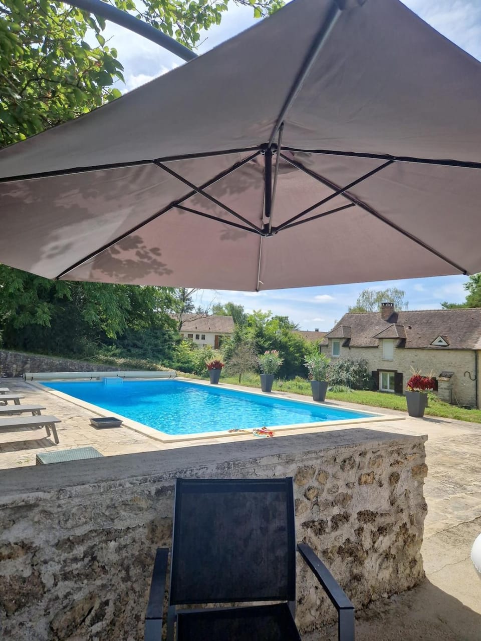 Garden, Garden view, Pool view, Swimming pool, sunbed