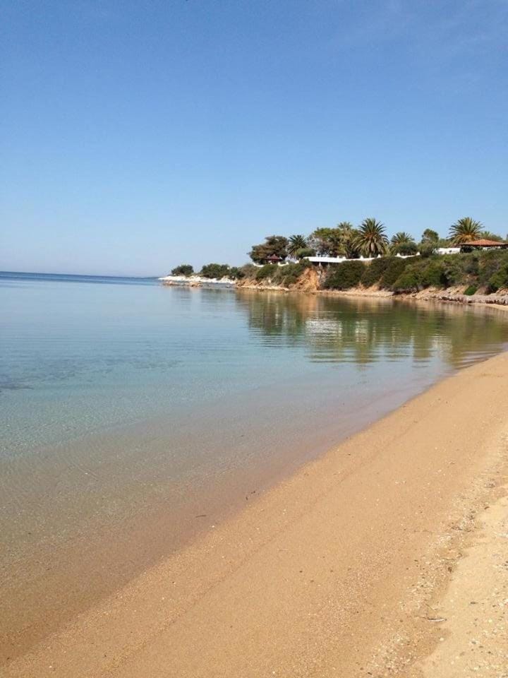 Villa King Filippos - Royal Beachfront - Sithonia Chalkidiki House in Halkidiki