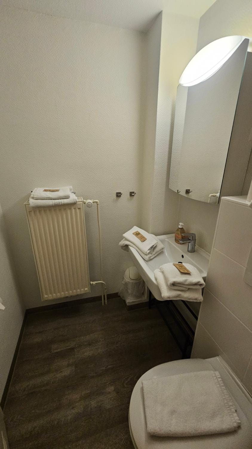 Toilet, Bathroom, towels