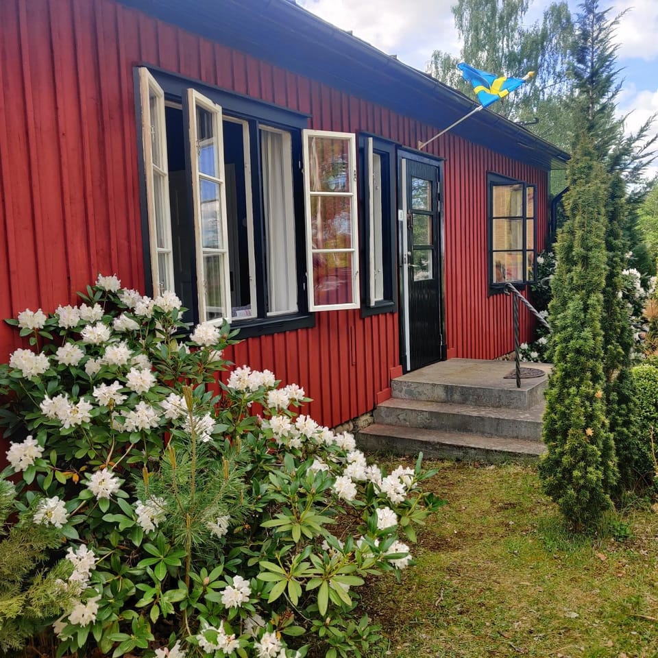 Spring, Garden, Garden view