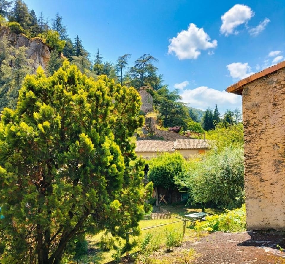 Garden view, Mountain view