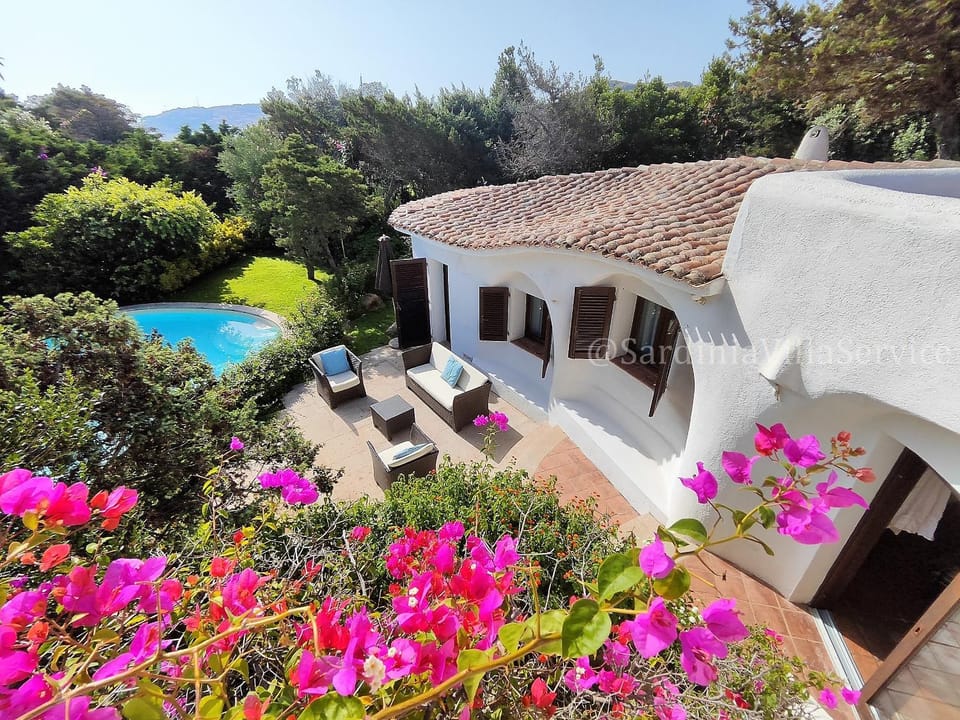 Property building, Patio, Garden, Garden view, Pool view, Swimming pool, sunbed