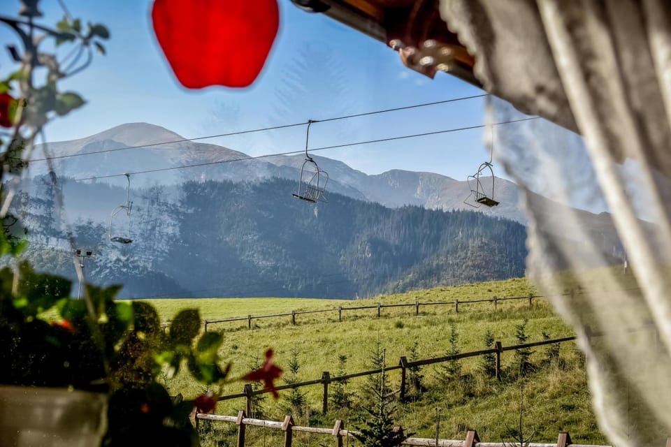 Mountain view