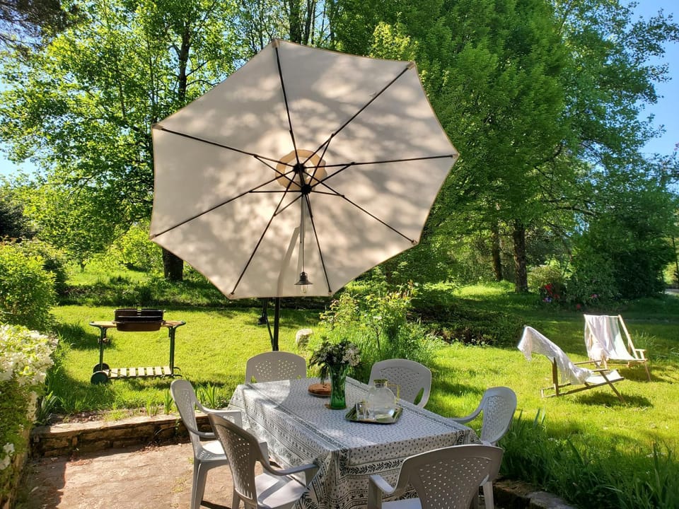 Patio, Spring, Garden, Garden view, sunbed