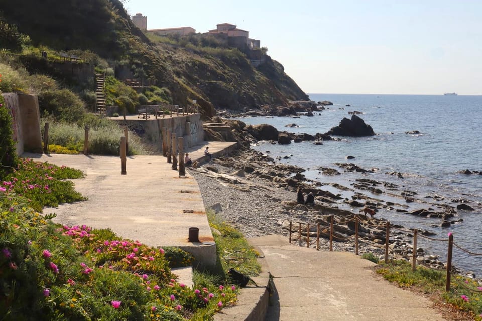 Spring, Natural landscape, Beach