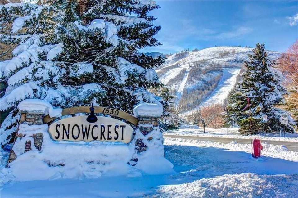 Natural landscape, Winter, Skiing, Mountain view, Street view