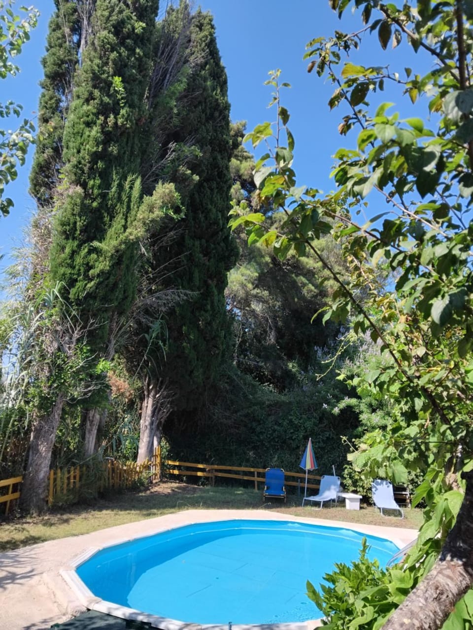 Day, Natural landscape, Garden, Garden view, Pool view, Swimming pool, sunbed