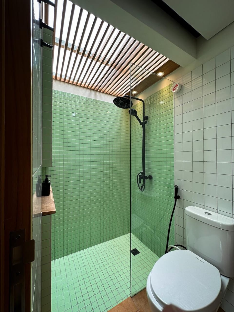 Shower, Toilet, Bathroom, Bath