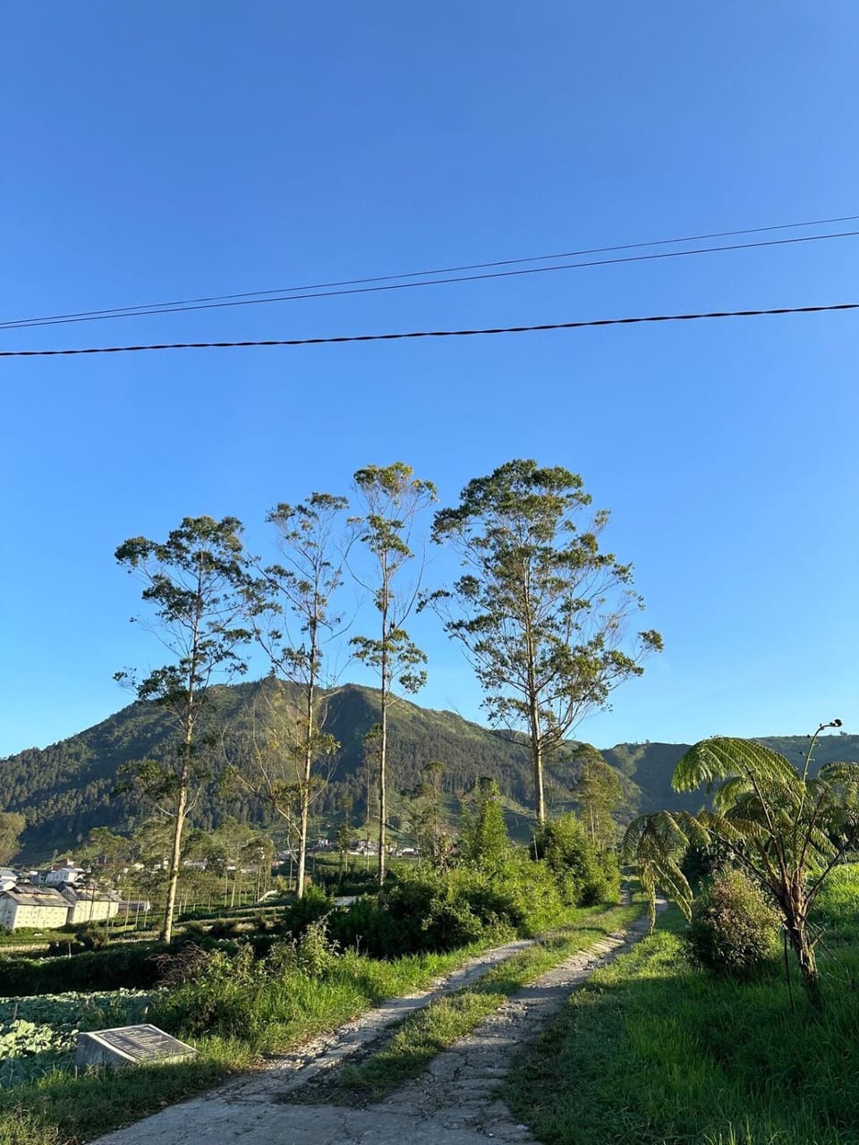 Spring, Natural landscape, Garden, Mountain view