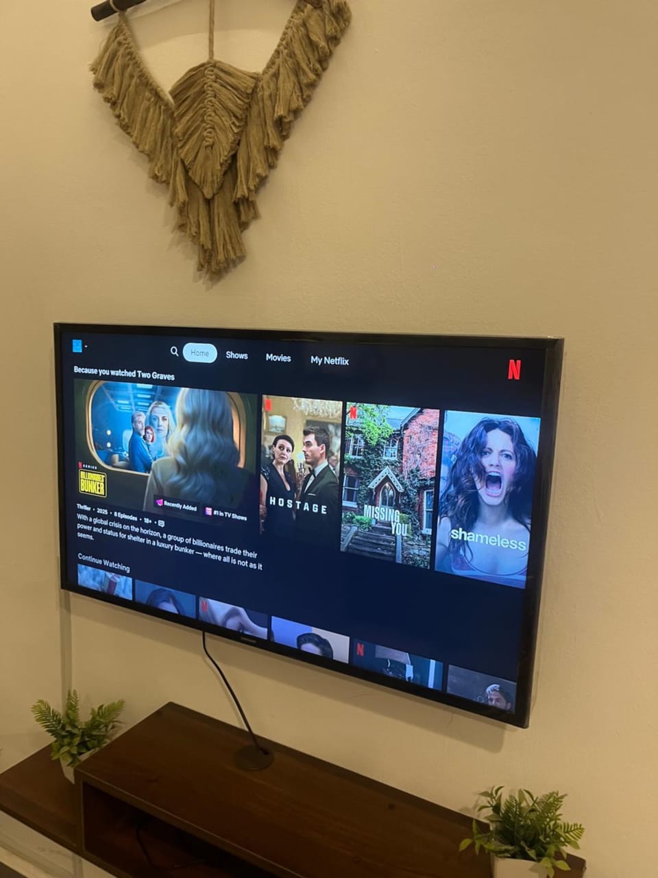 TV and multimedia