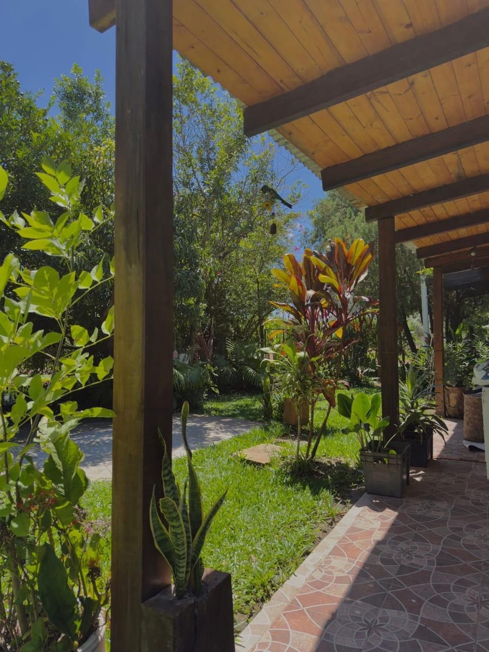 Hostel Che Cambá Bed and Breakfast in Corrientes Province, Argentina