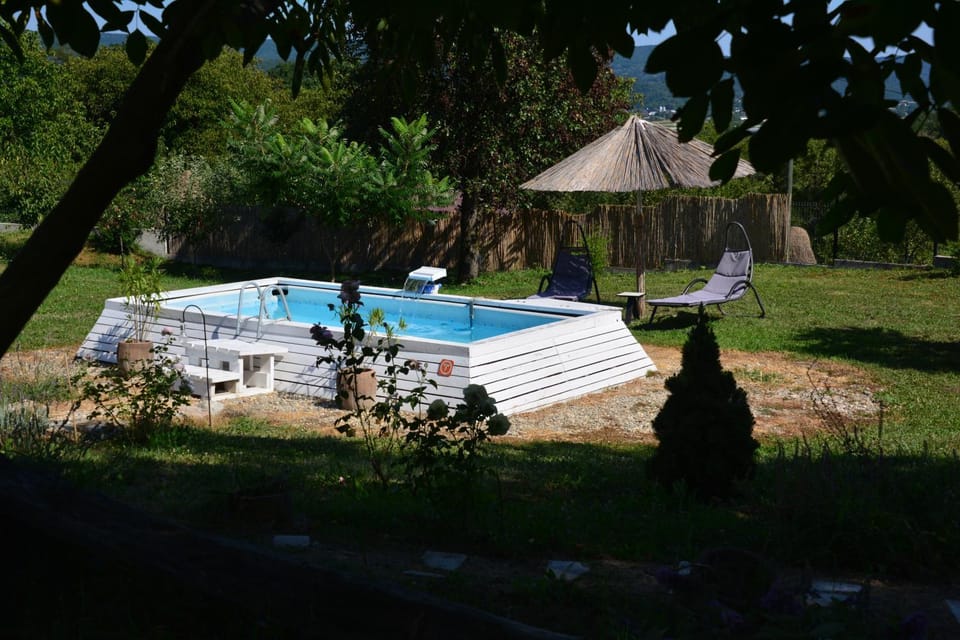 Day, Pool view, Swimming pool, sunbed