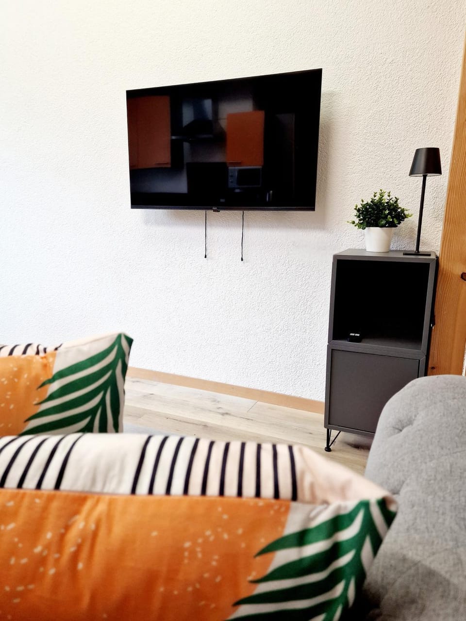 TV and multimedia