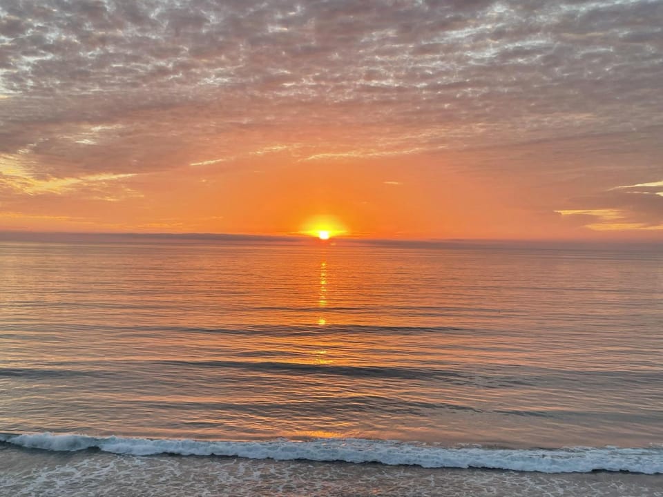 King of the Beach - SUR79 House in Solana Beach