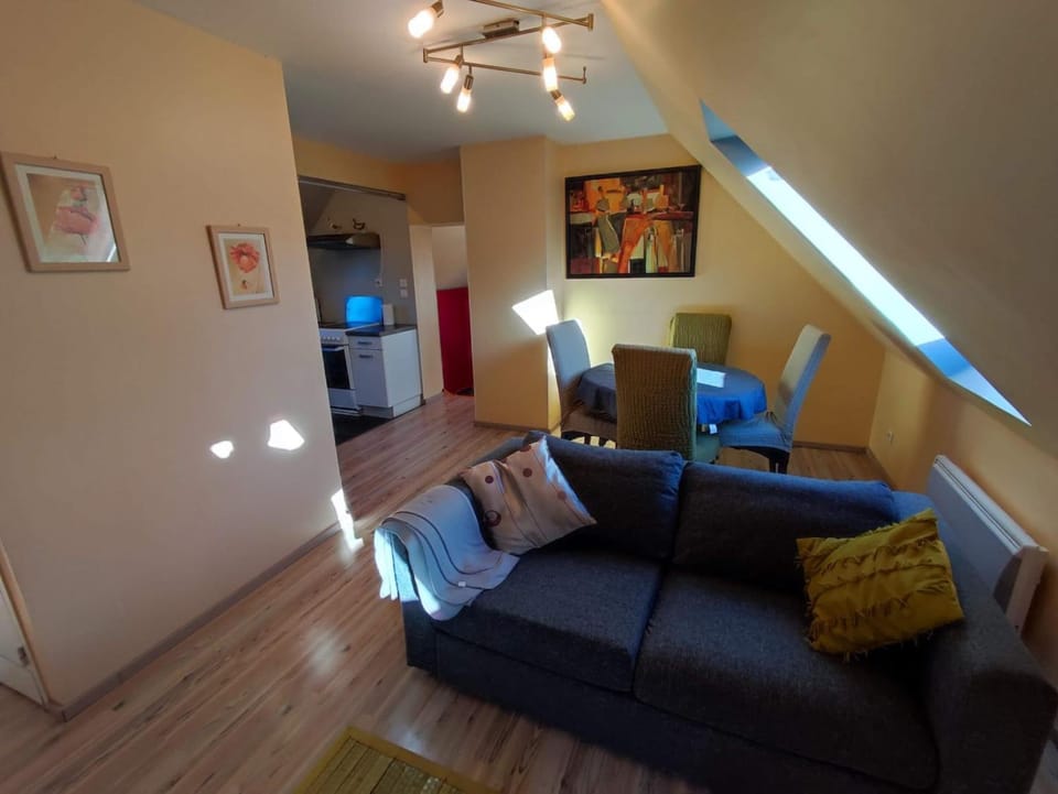 Gîte meublé 10 personnes House in Pays de la Loire