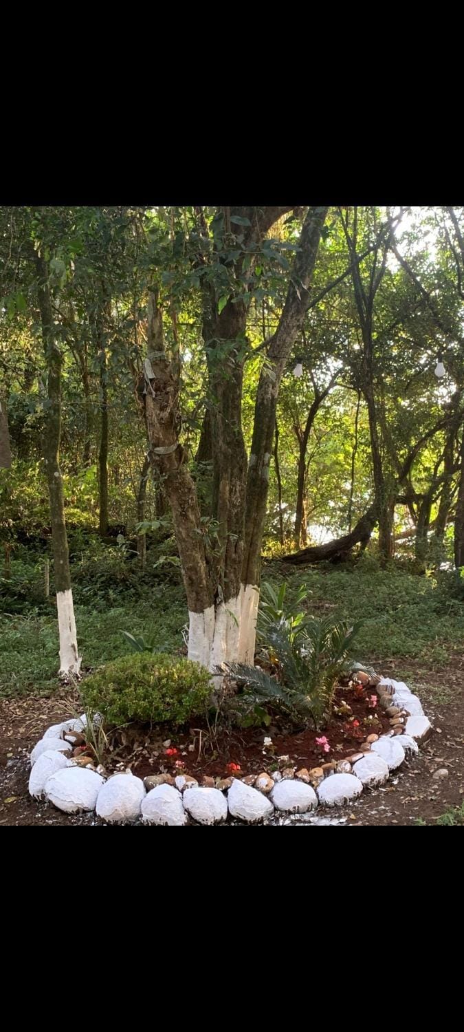 Pousada da vila Hotel in State of Santa Catarina