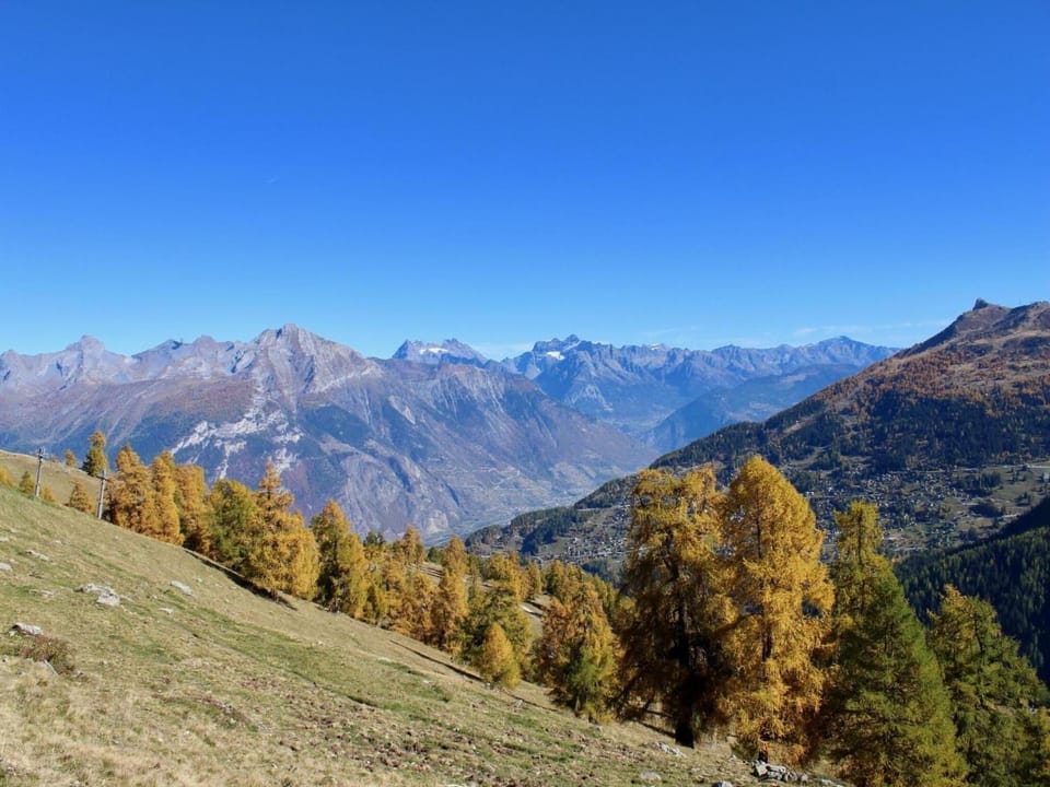 Neighbourhood