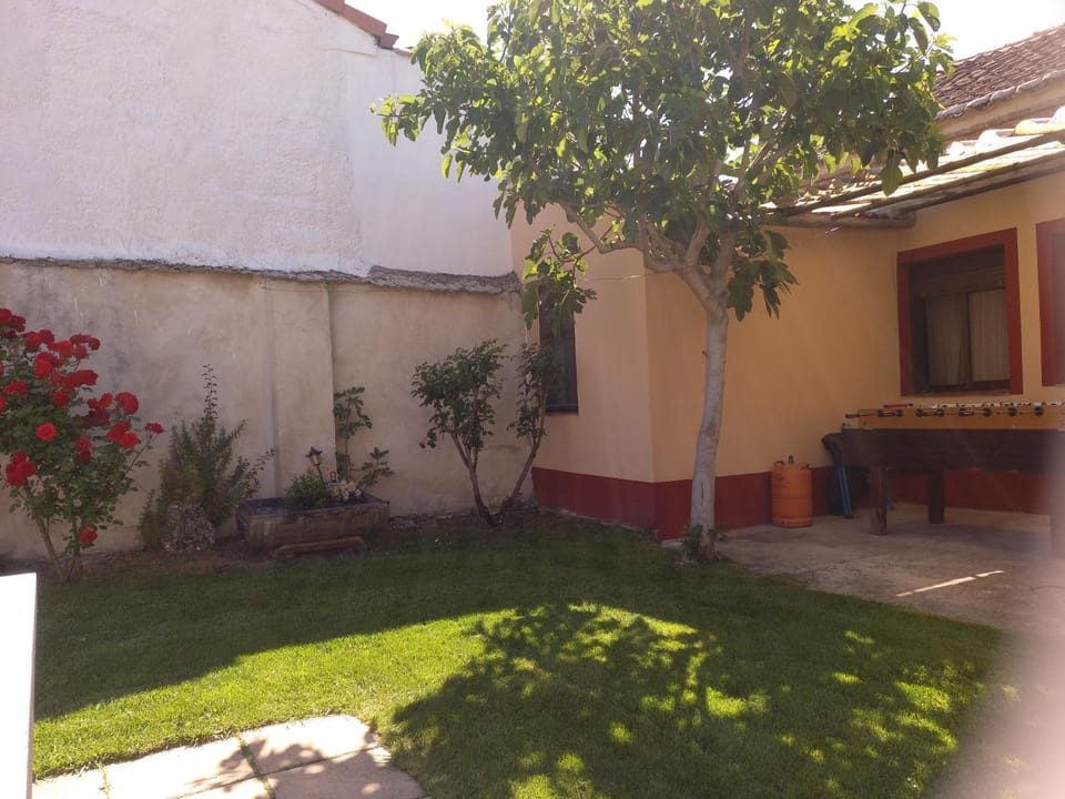 Patio, Garden, Garden