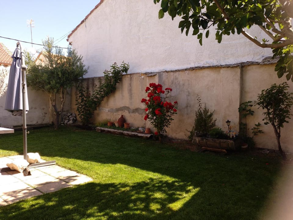 Patio, Garden, Garden, Balcony/Terrace