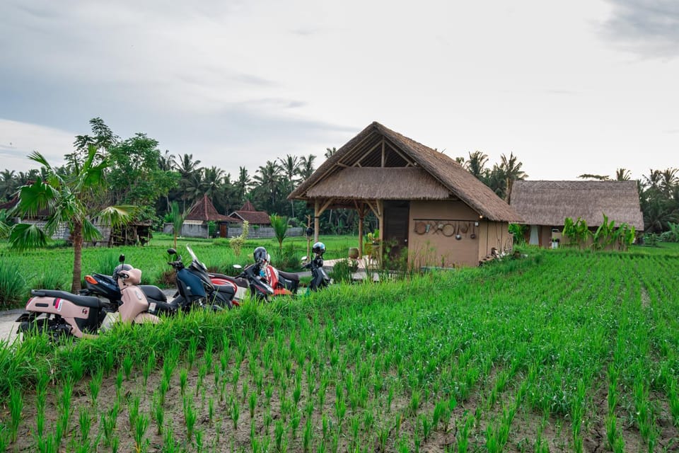 Property building, Spring, Day, People, Natural landscape, Garden, Garden view, group of guests