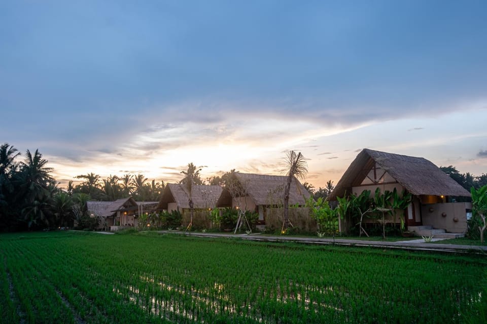 Property building, Spring, Day, Natural landscape, Garden, Garden, Garden view, Sunrise, Sunset