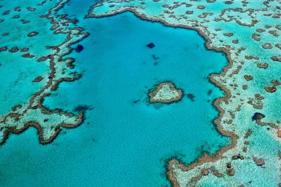 Snorkeling, Diving