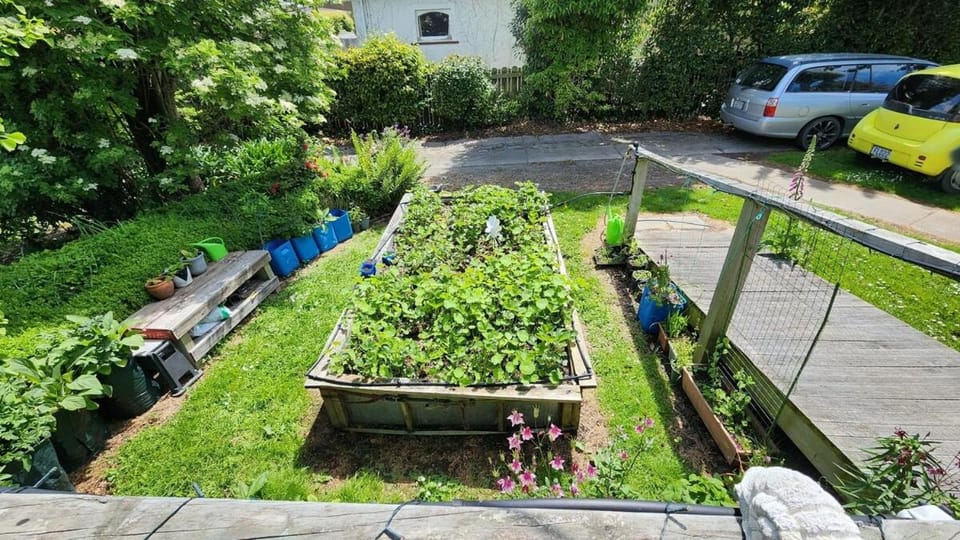 Guest Suite with private entry own kitchen and bathroom Apartment in Otago