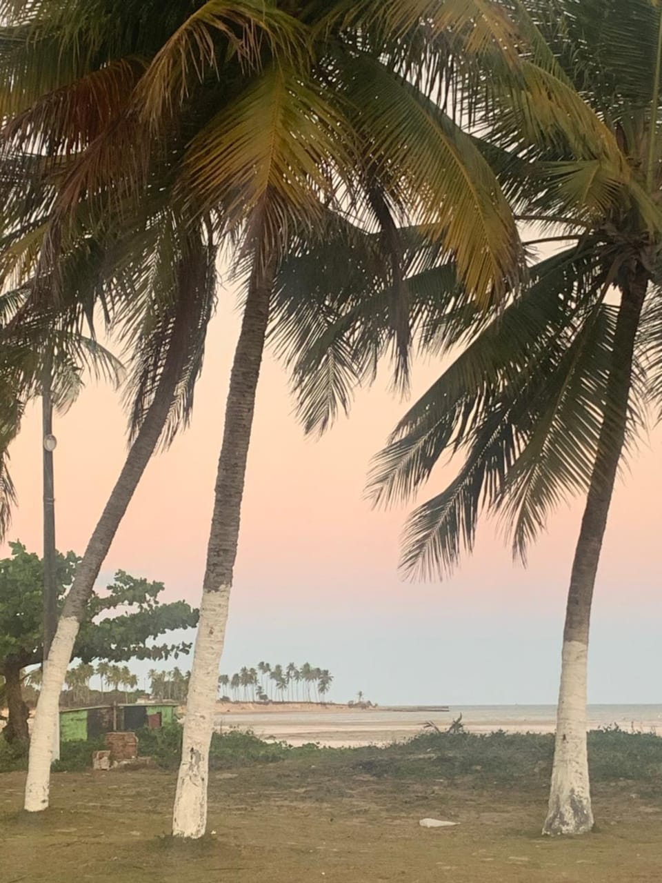 Natural landscape, Beach, Sunset