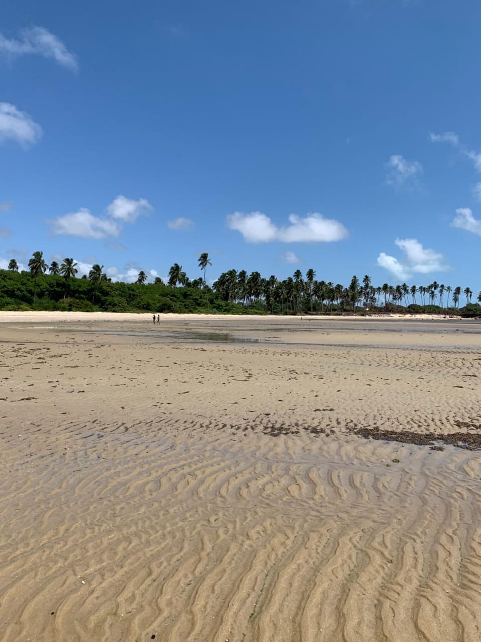 Day, Natural landscape, Beach