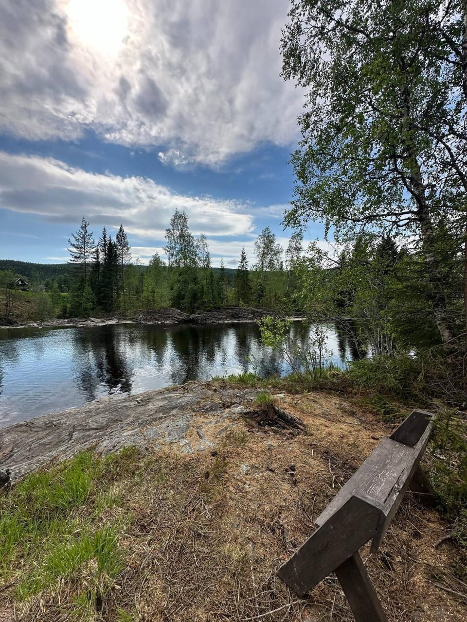 Natural landscape, River view