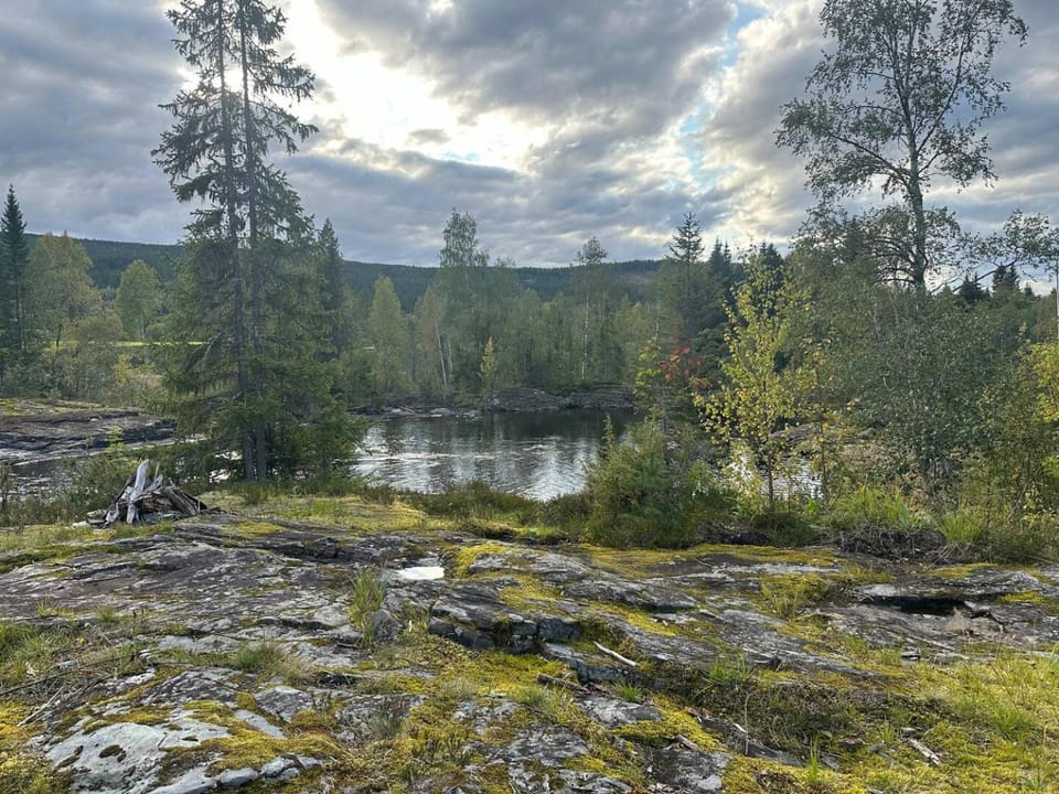 Natural landscape, Mountain view, River view, fireplace