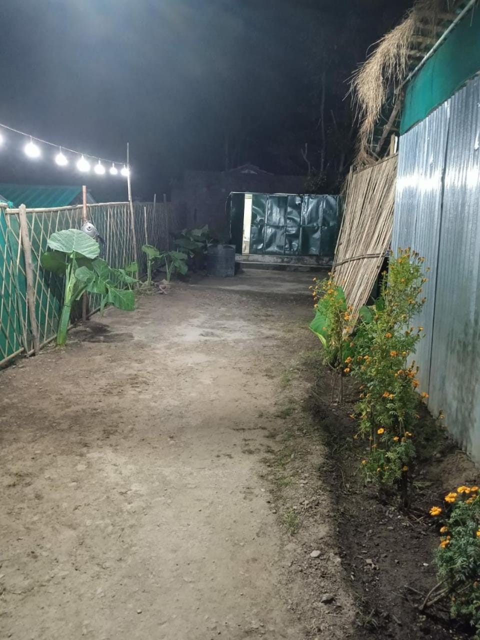 Garden view