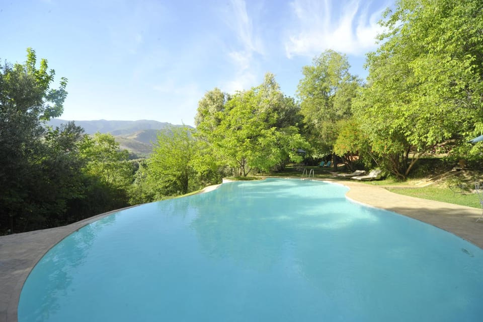 Staff, Day, Activities, Summer, Garden, Balcony/Terrace, Lounge or bar, Other, Area and facilities, Swimming pool, Swimming pool, Meals, Lunch, Dinner, Alcoholic drinks, Non alcoholic drinks, Family