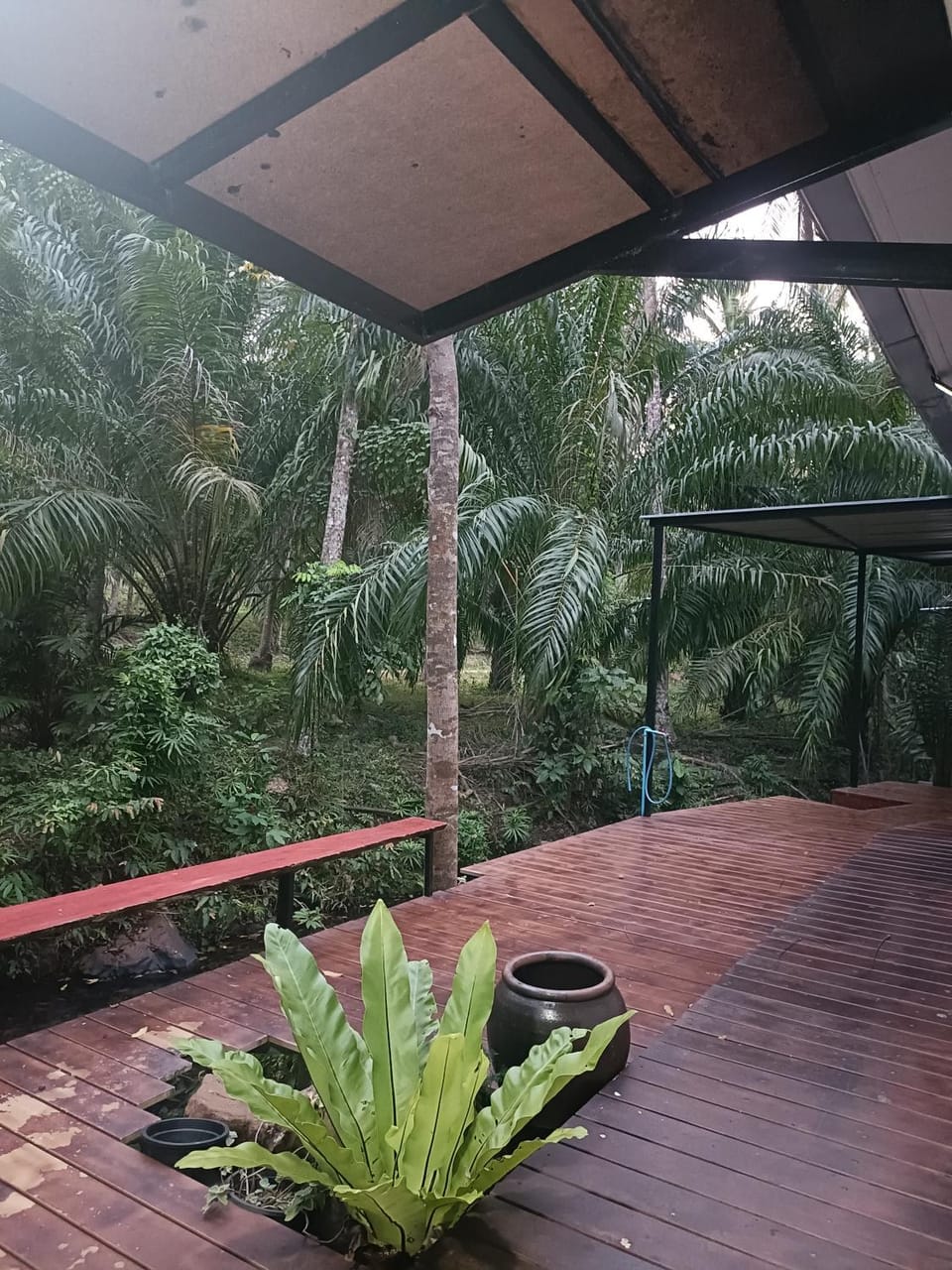 Natural landscape, Balcony/Terrace