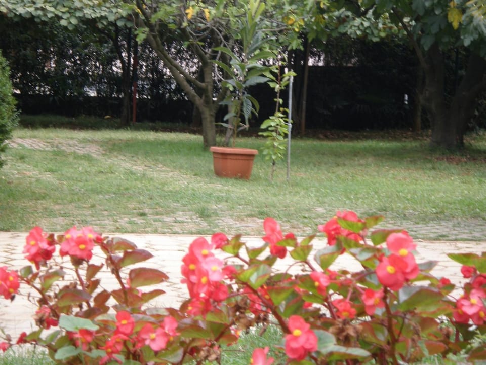 Garden, Text overlay, Garden view