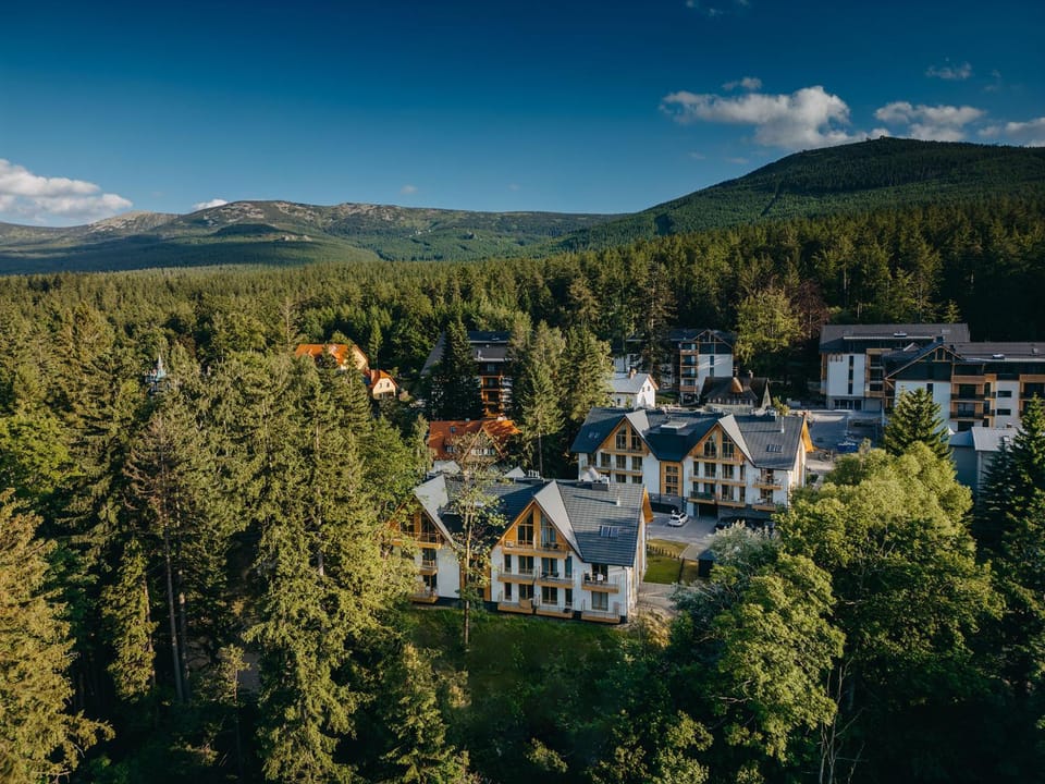Property building, Bird's eye view, View (from property/room), Mountain view