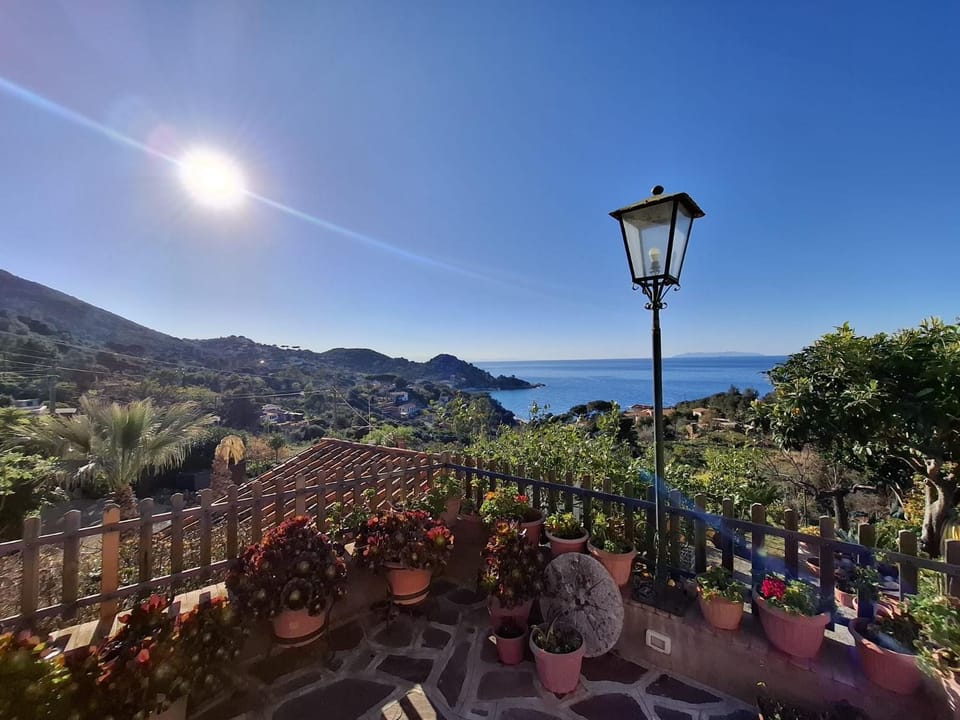 Sea view