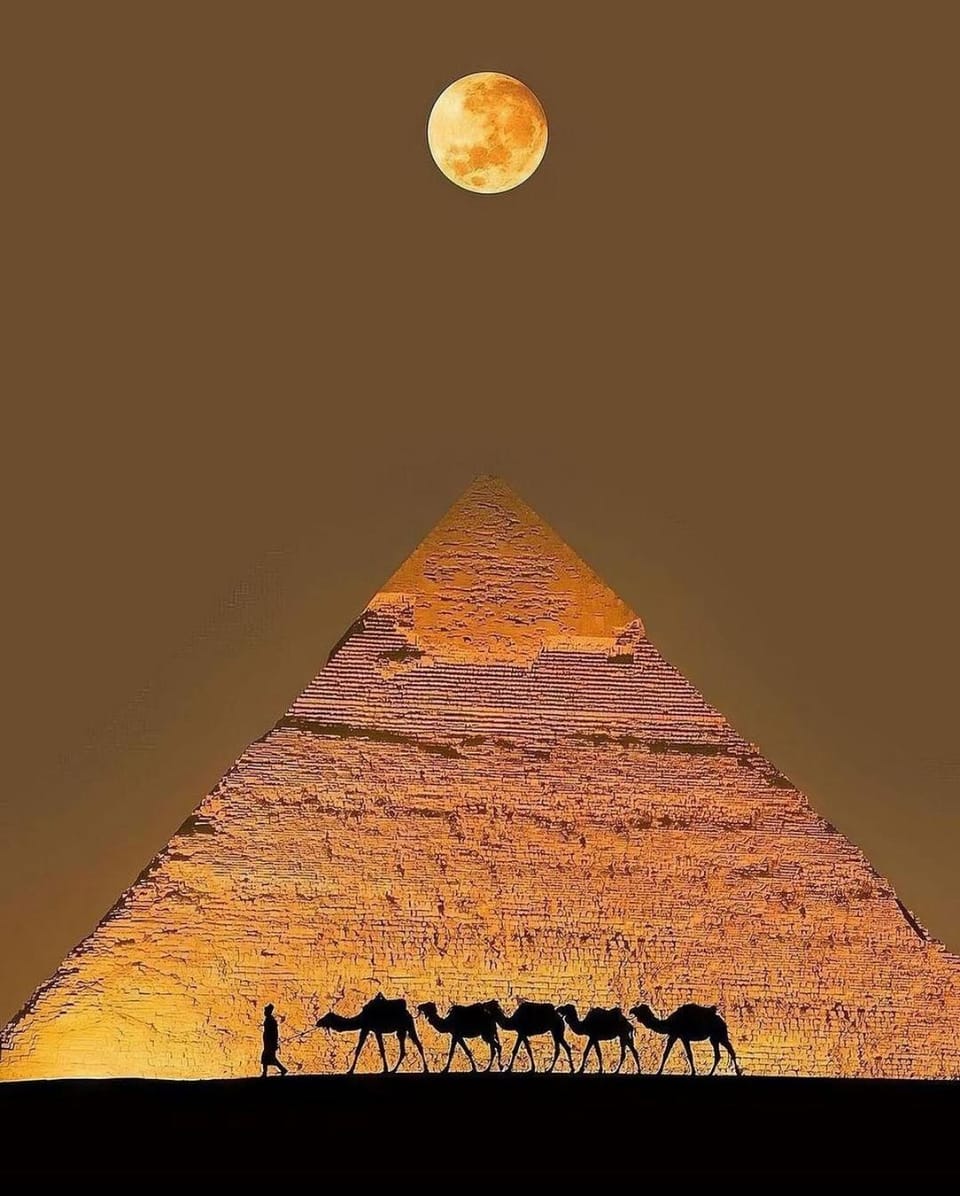 Nearby landmark, Night, Animals, Landmark view