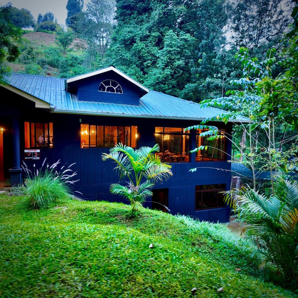 Property building, Restaurant/places to eat, Restaurant/places to eat, Natural landscape, Guests, Guests, Garden view, group of guests, Quiet street view