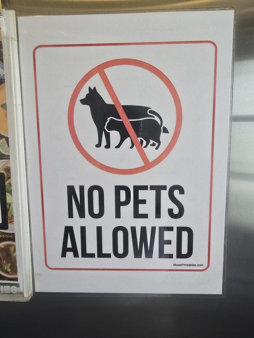 Animals, Pets