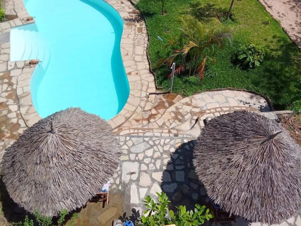 Crocodile lodge Hostel in Kenya