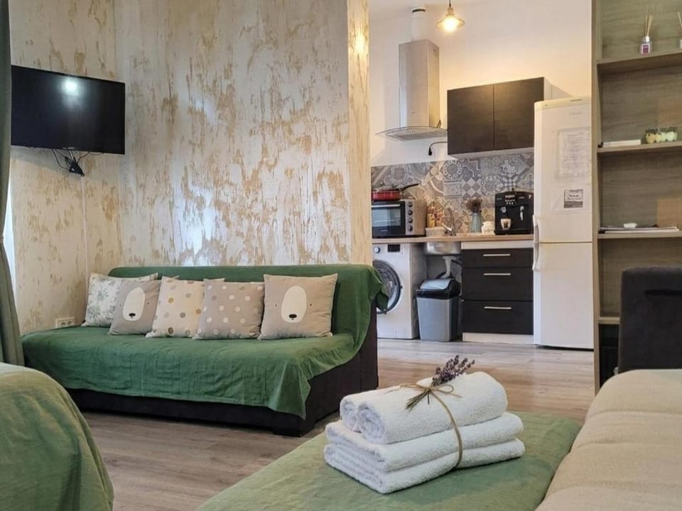 Casa Rahova - centru civic Apartment in Romania