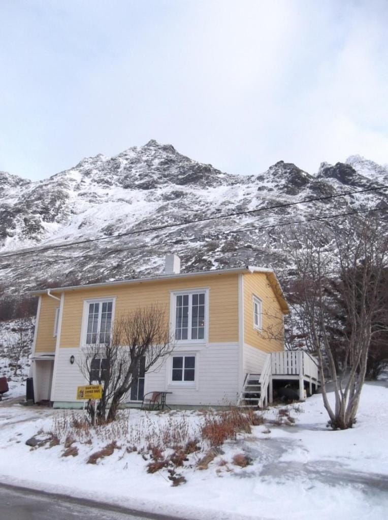 Lofotenhaus direkt am Skjelfjord Apartment in Lofoten