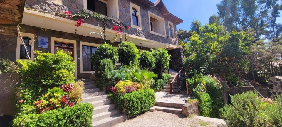 Property building, Garden, Garden view