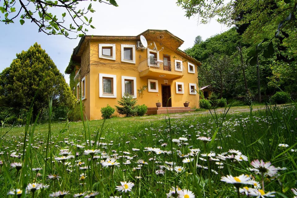 Villa River Village Villa in Turkey