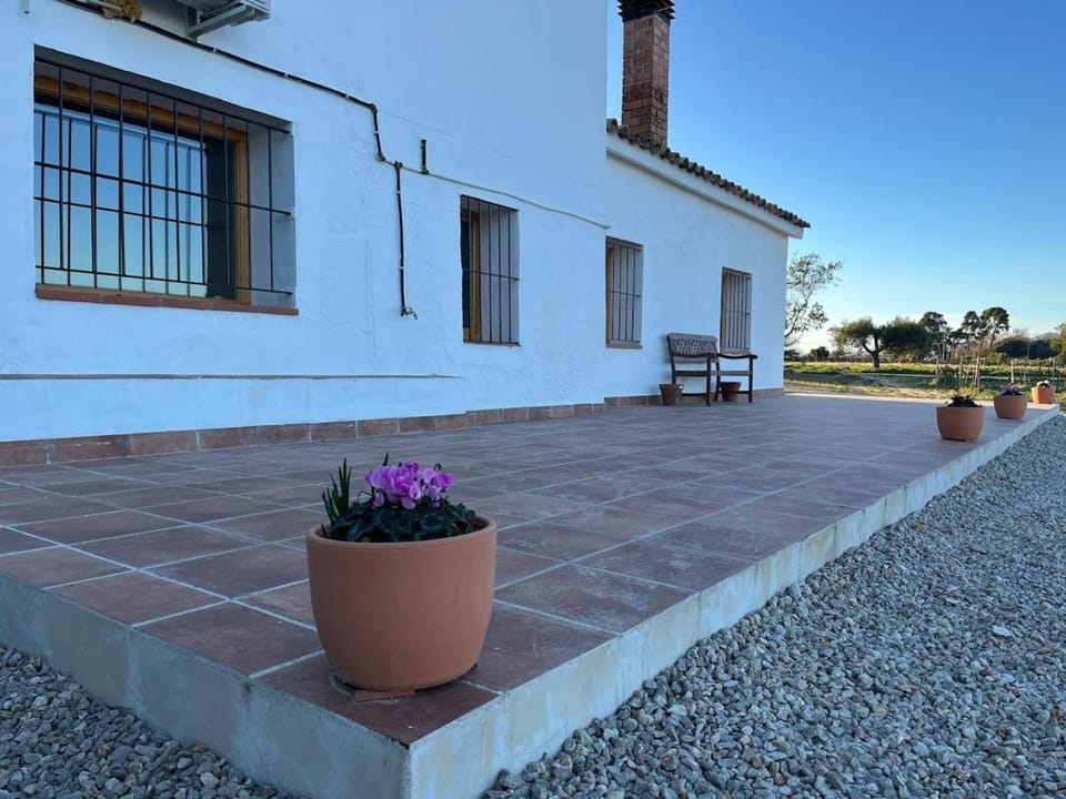Property building, Balcony/Terrace