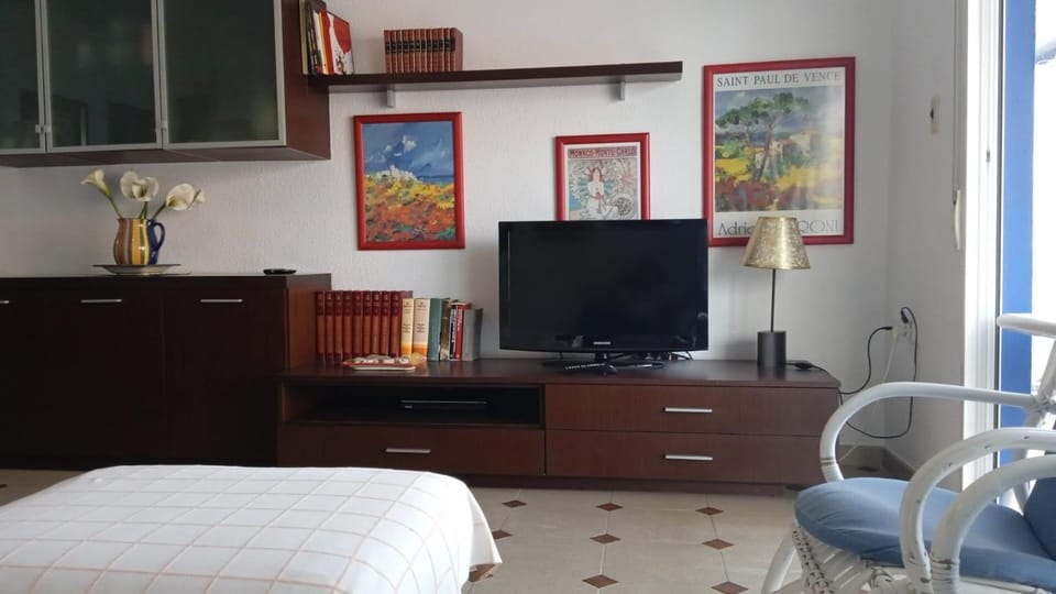 TV and multimedia