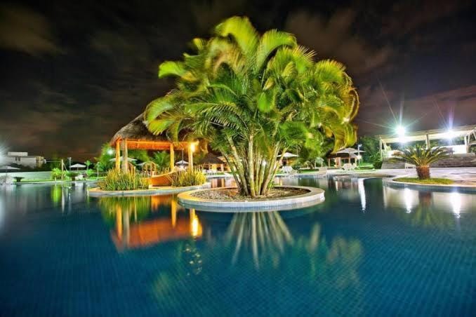 Night, Pool view, Swimming pool